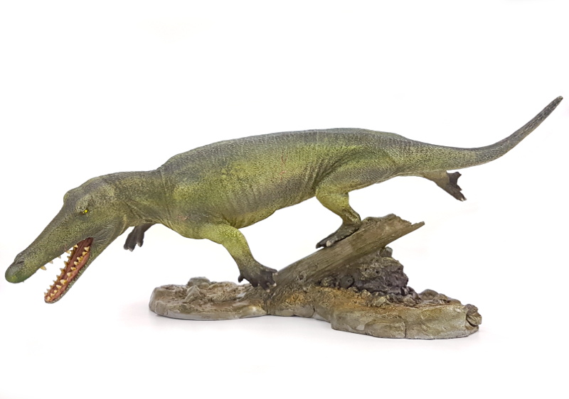 Ambulocetus natans, Modell von Shane Foulkes