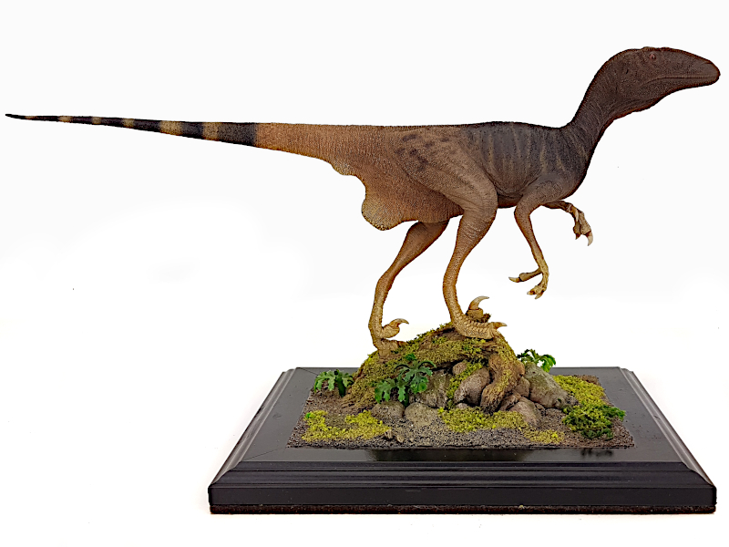 Deinonychus, Dinosaurier Modell von Matt Manit