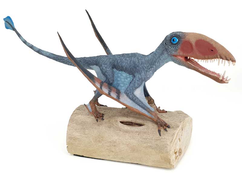 Dimorphodon, blau-grau, CollectA Repaint