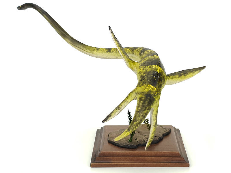 Elasmosaurus, grün-gelb, Meeressaurier Modell von Alexander Belov