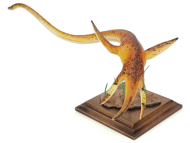 Elasmosaurus, orange, Meeressaurier Modell von Alexander Belov