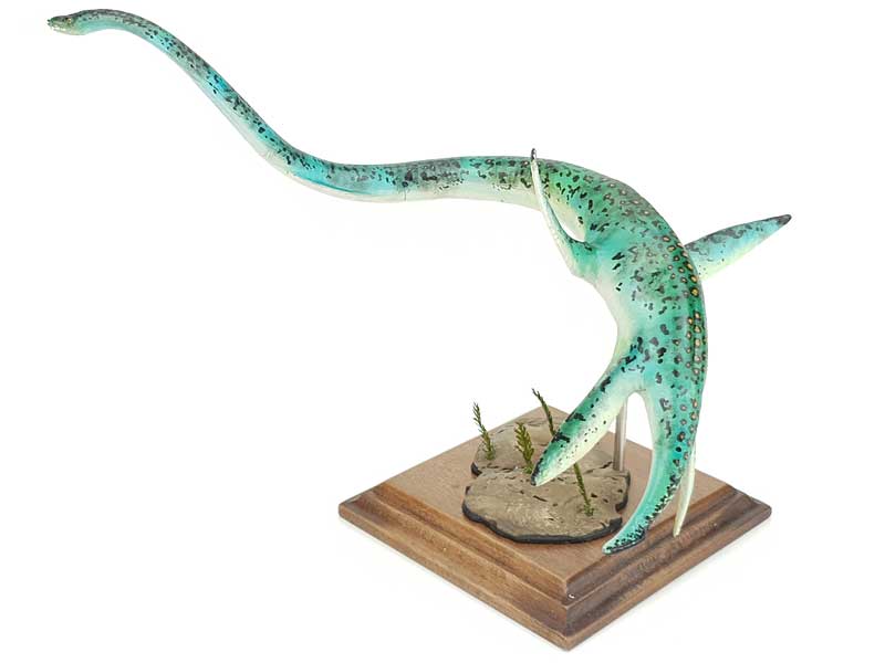 Elasmosaurus, gefleckt, Meeressaurier Modell von Alexander Belov