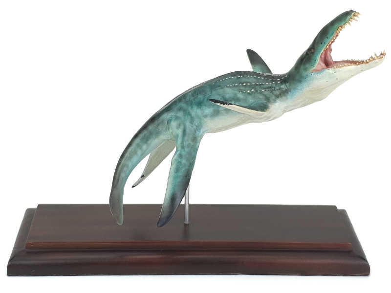 Liopleurodon, Meeressaurier Modell von Alexander Belov
