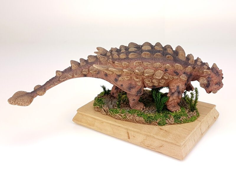Saichania, Dinosaurier Modell von David Silva – Bild 2