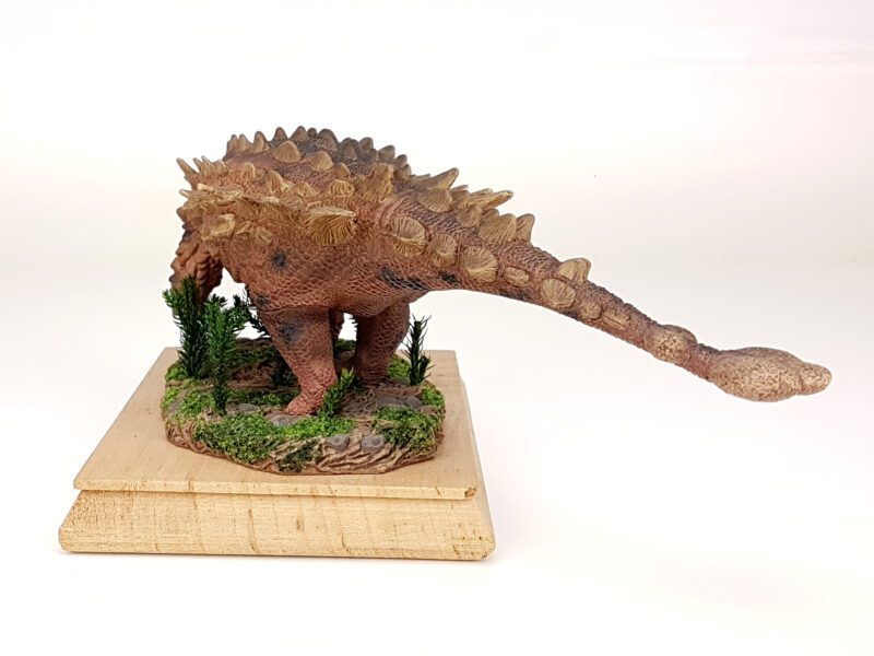 Saichania, Dinosaurier Modell von David Silva – Bild 3