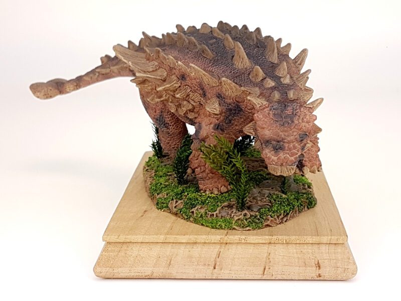 Saichania, Dinosaurier Modell von David Silva – Bild 5