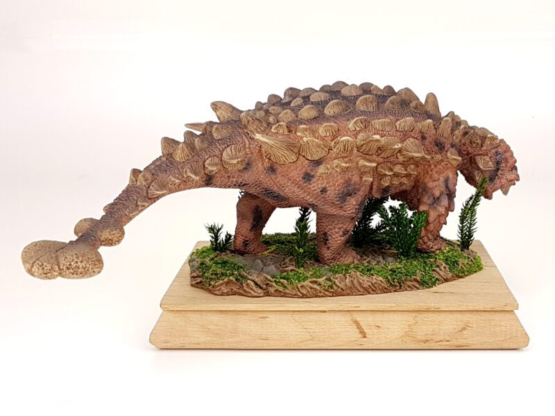 Saichania, Dinosaurier Modell von David Silva – Bild 6