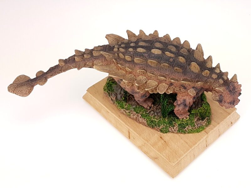 Saichania, Dinosaurier Modell von David Silva – Bild 7