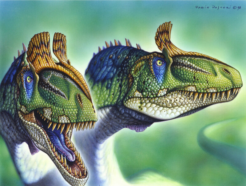 Cryolophosaurus, Dinosaurier Poster von Fabio Pastori