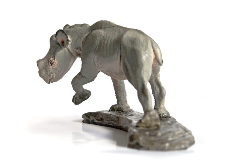 Embolotherium Jungtier, Modell von Vitali Klatt – Bild 4