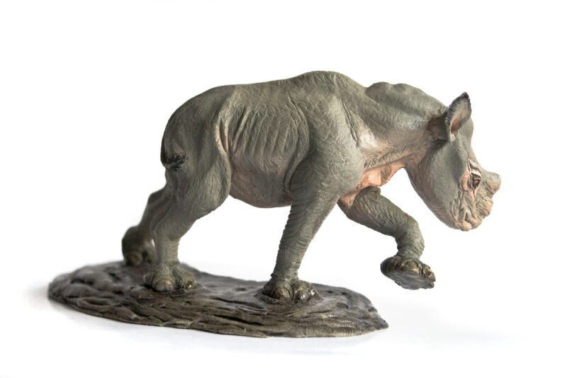 Embolotherium Jungtier, Modell von Vitali Klatt – Bild 3