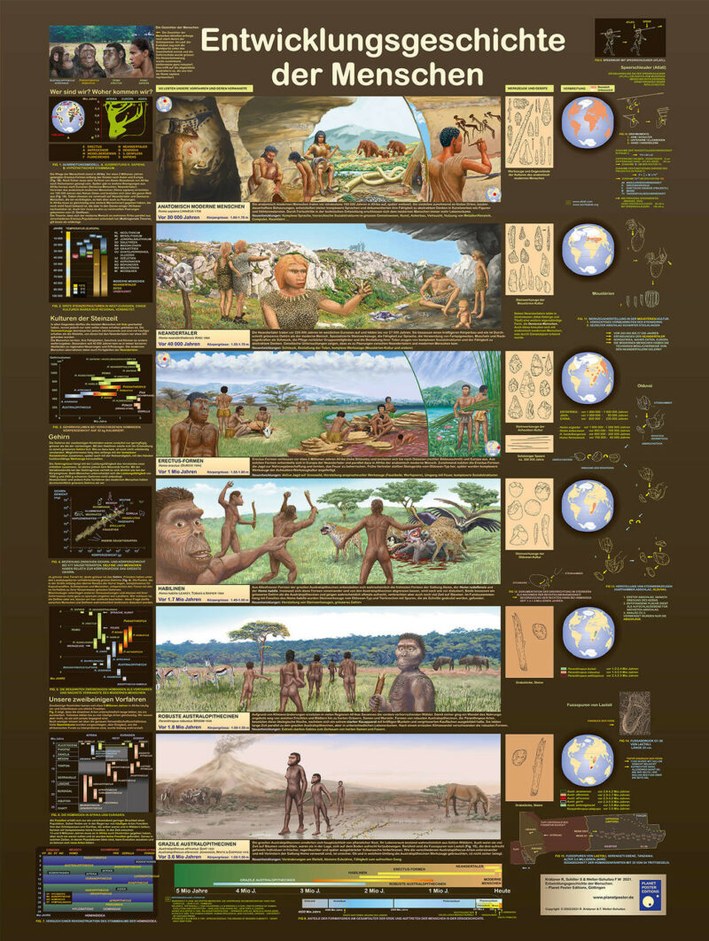 Entwicklungsgeschichte der Menschen, Poster von Planet Poster Edition