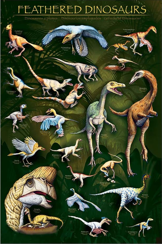 Feathered Dinosaurs, Dinosaurier Poster von EuroGraphics