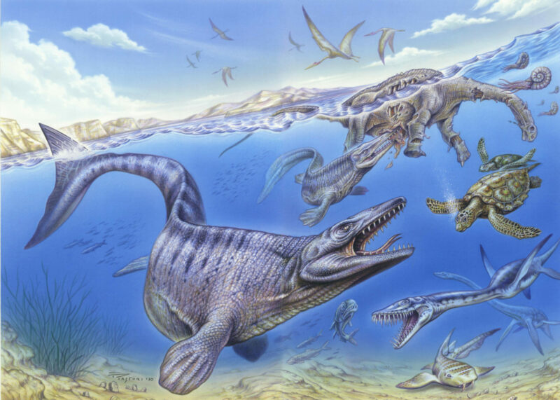 Iembe - kreidezeitlicher Ozean, Dinosaurier Poster von Fabio Pastori