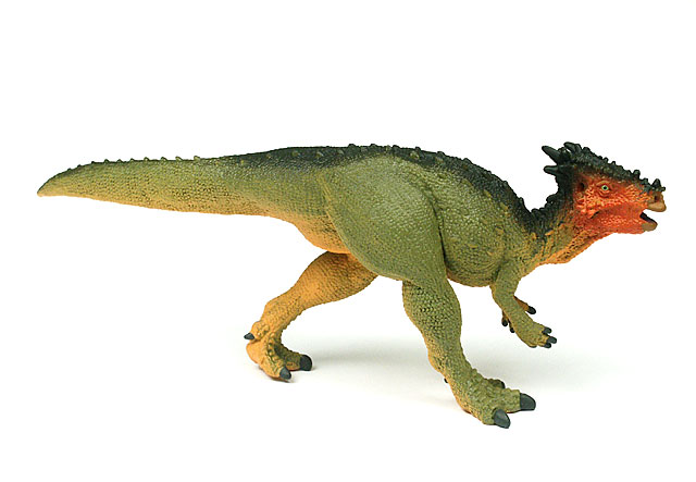 Dracorex, Dinosaurier Figur von Safari Ltd.
