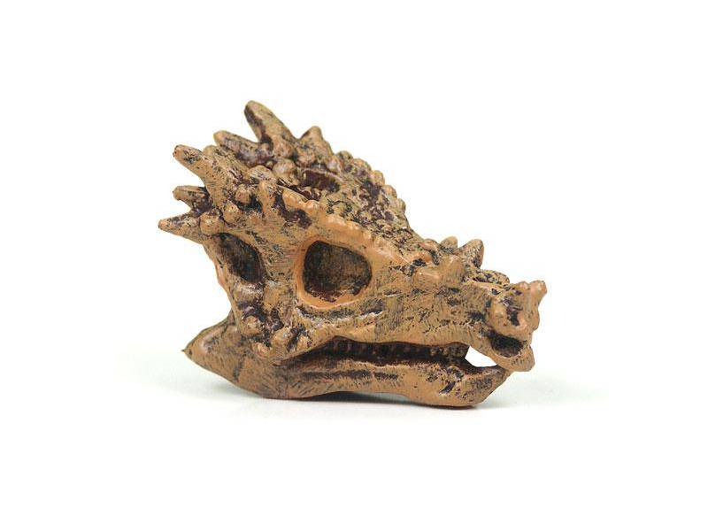 Dracorex Mini-Schädel Dinosaurier von Safari Ltd.