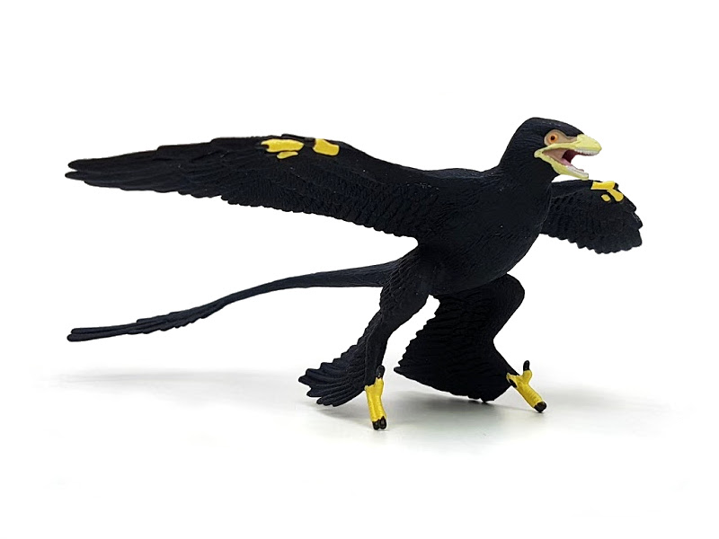 Microraptor, Dinosaurier Figur von Safari Ltd.
