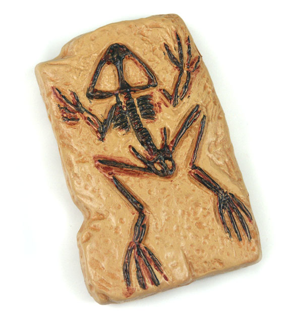 Fossiler Frosch, Mini-Fossil Figur von Safari Ltd.