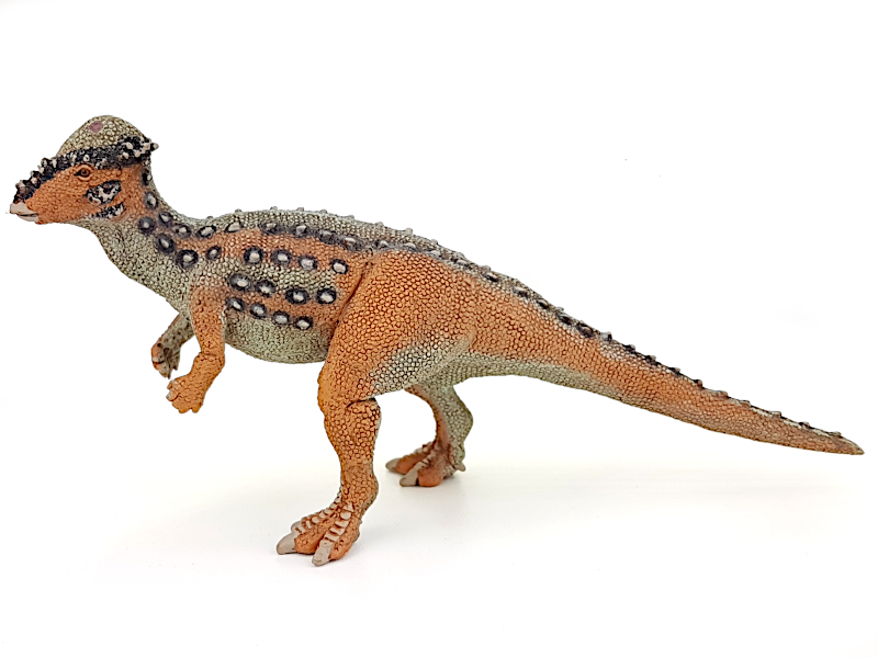 Pachycephalosaurus, Dinosaurier Figur von Safari Ltd.