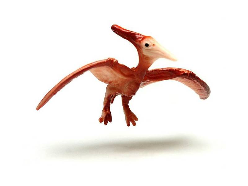 Pteranodon, Flugsaurier Mini-Figur von Safari Ltd.