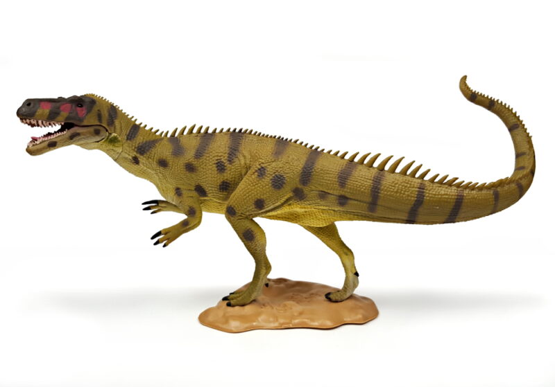 Torvosaurus, Dinosaurier Spielzeug von CollectA