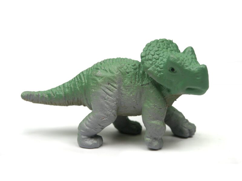 Triceratops Jungtier, Dinosaurier Figur von Safari Ltd.