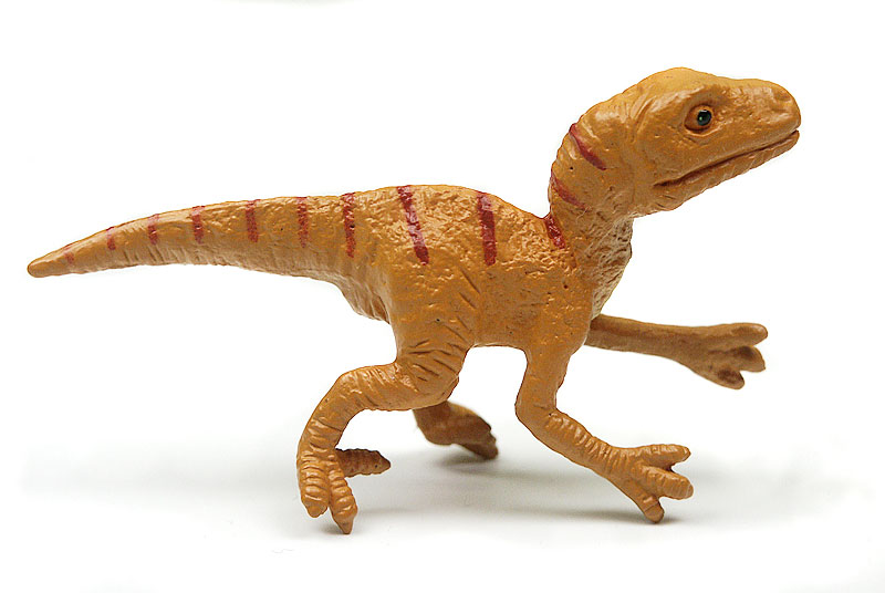 Velociraptor Jungtier, Dinosaurier Figur von Safari Ltd.
