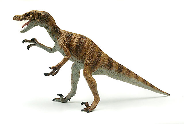 Velociraptor, Dinosaurier Spielzeug der Carnegie Collection