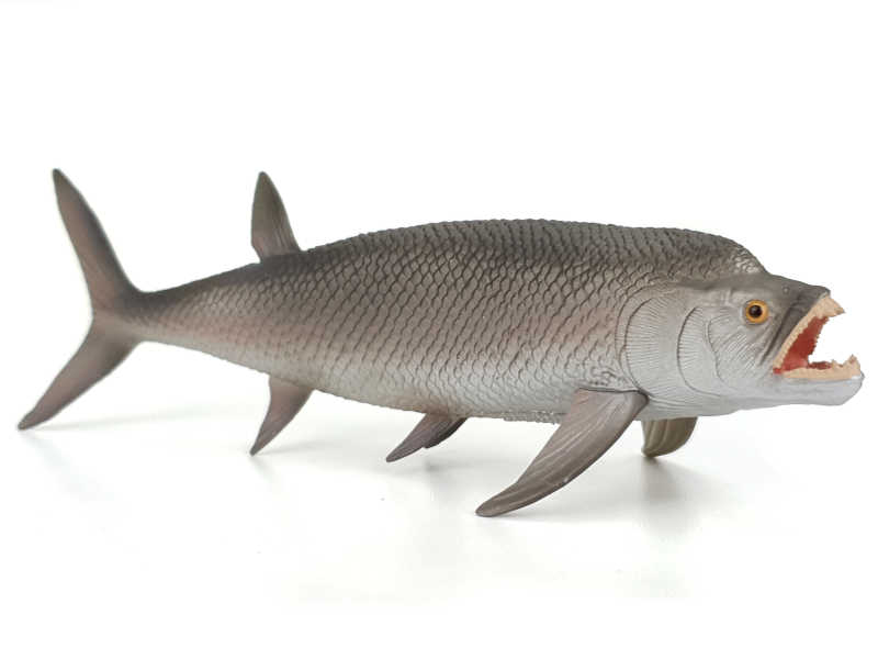 Xiphactinus, prähistorischer Raubfisch von CollectA