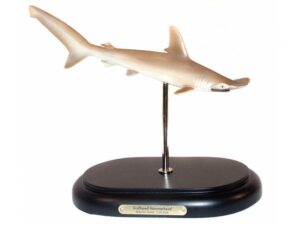 Bogenstirn-Hammerhai, Modell von Favorite Co. Ltd.