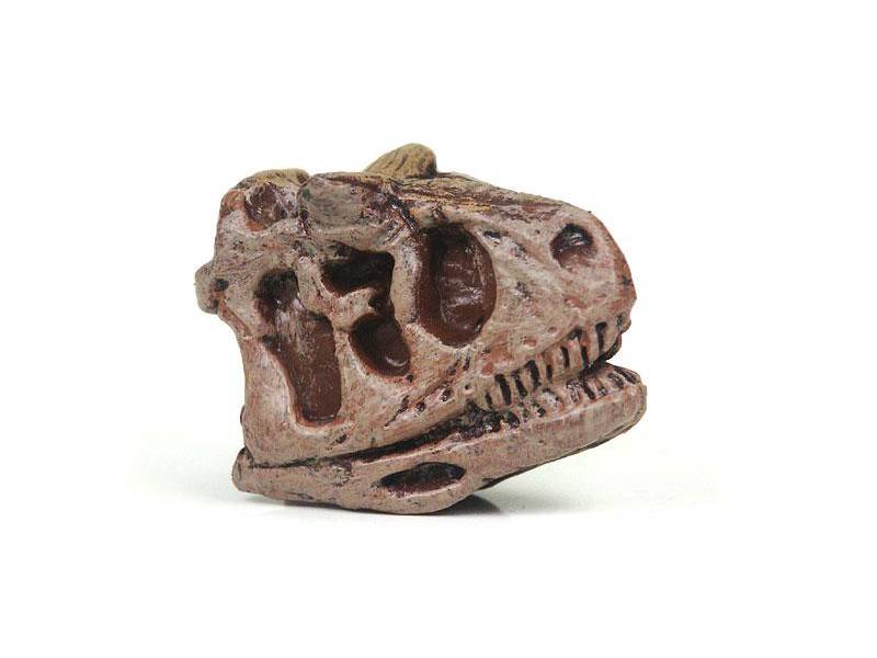 Carnotaurus Mini-Schädel Dinosaurier von Safari Ltd.