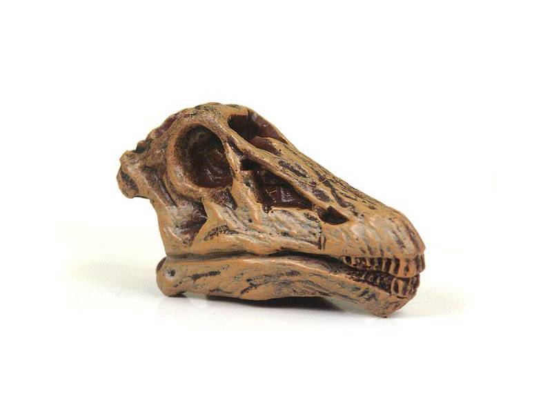 Diplodocus Mini-Schädel Dinosaurier von Safari Ltd.