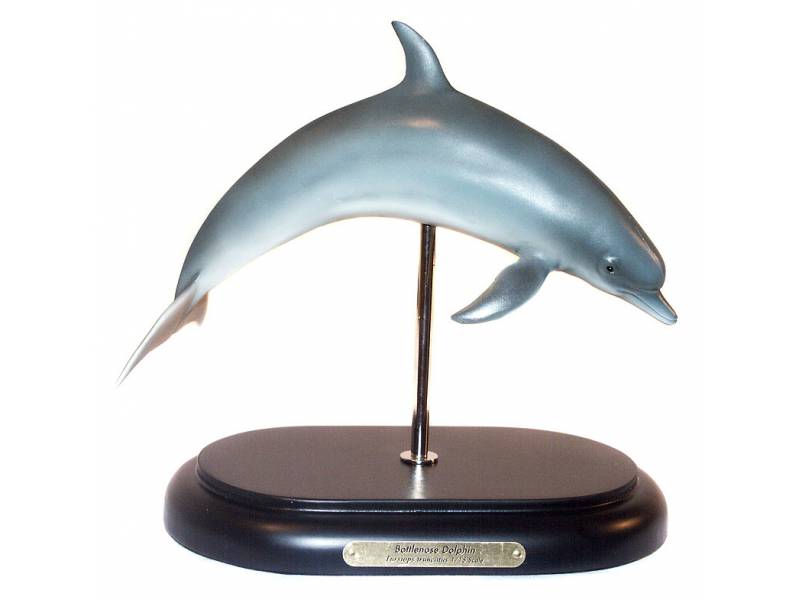 Großer Tümmler, Delfin Modell von Favorite Co. Ltd.