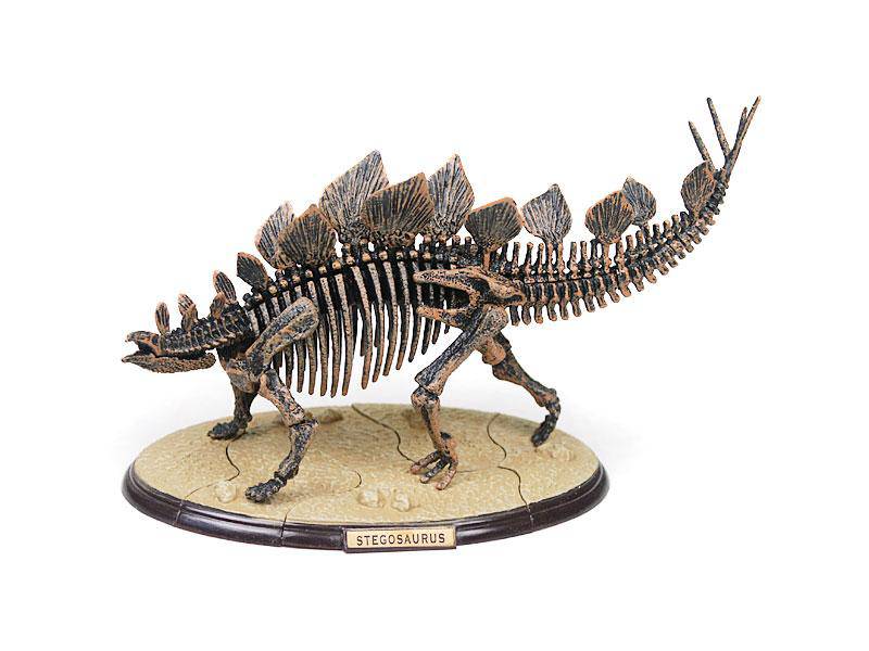 Stegosaurus Skelett, 3-D Dinosaurier Puzzle