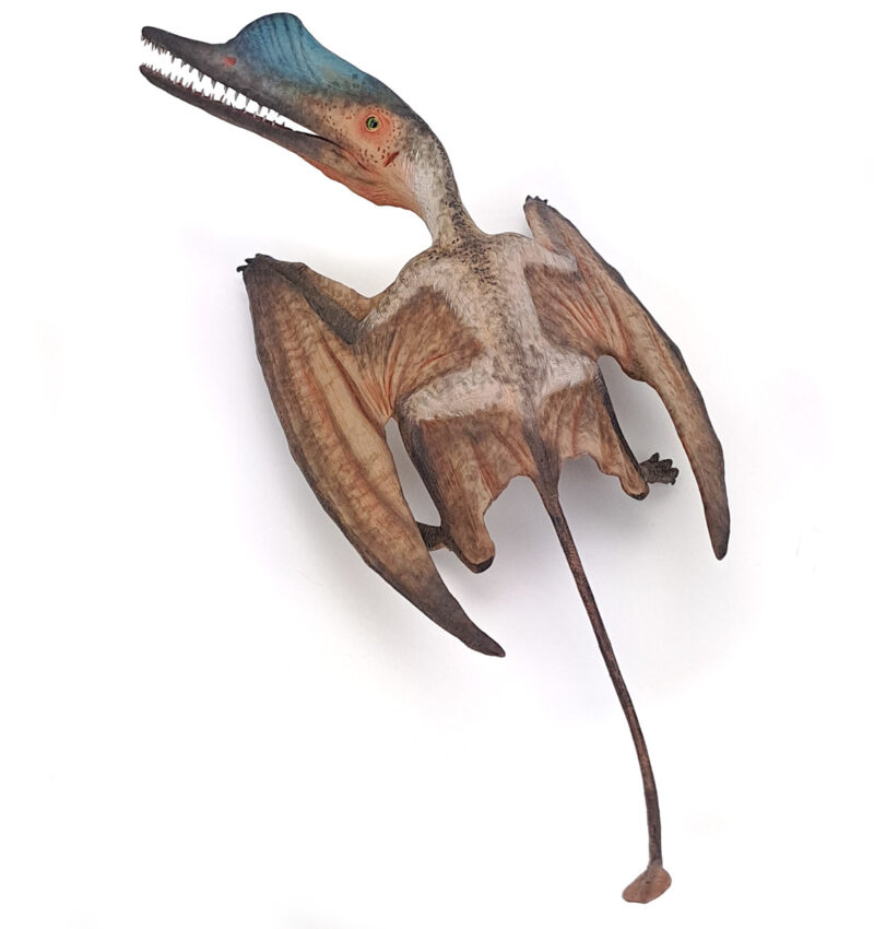 Darwinopterus, braun, Flugsaurier Modell von Galileo Hernandez