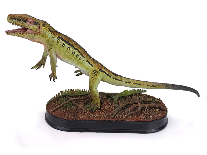 Euparkeria, grünlich, Archosaurier Modell von Galileo Hernandez