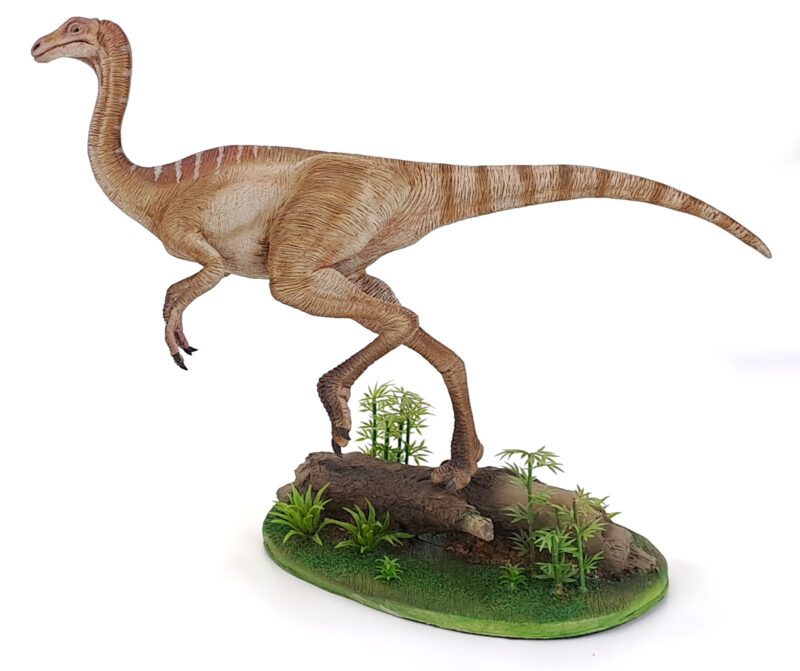 Gallimimus, Dinosaurier Modell von Galileo Hernandez