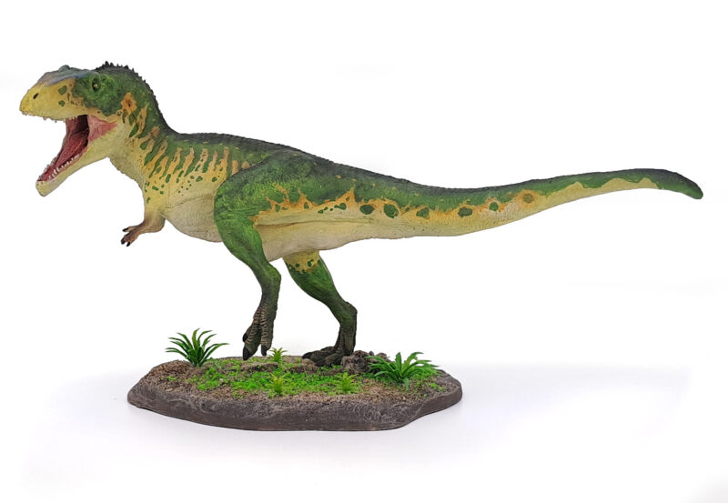 Giganotosaurus, grün, Dinosaurier Modell von Jorge Blanco