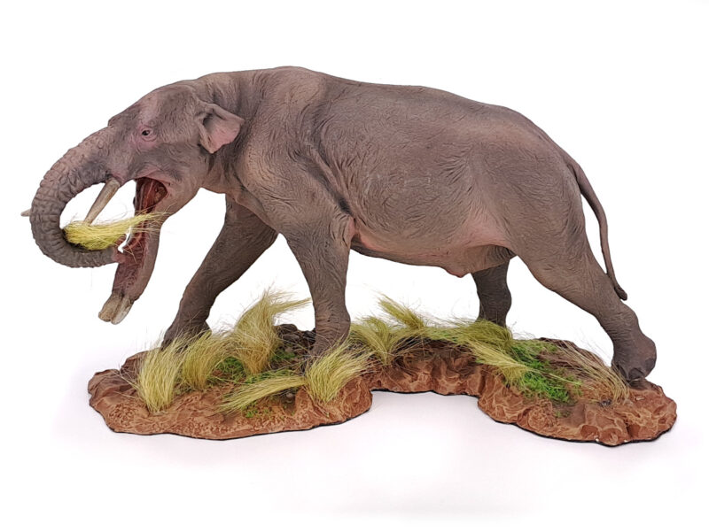 Platybelodon, fressend, Rüsseltier Modell von Sean Cooper