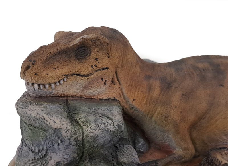 T-Rex schlafend, braun, Dinosaurier Modell von Galileo Hernandez – Bild 8