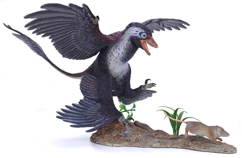 Microraptor jagt Eomaia, Dinosaurier Diorama